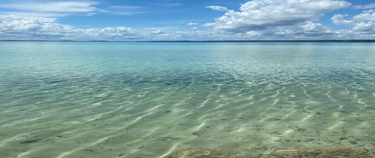 Foto de terreno habitacional en venta en  , aarón merino [colonia], bacalar, quintana roo, 0 No. 05